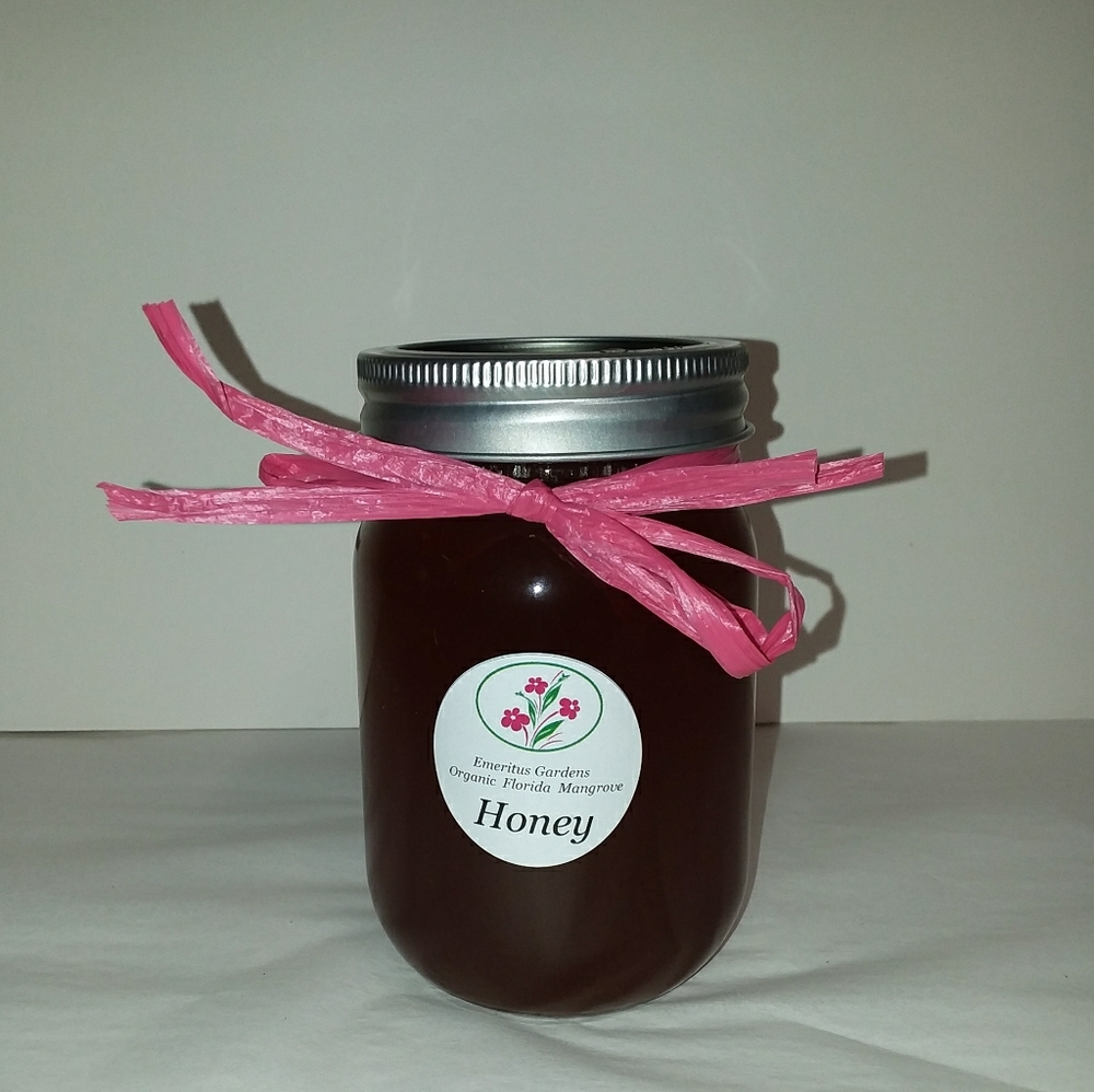 Florida honey gourmet 1lb